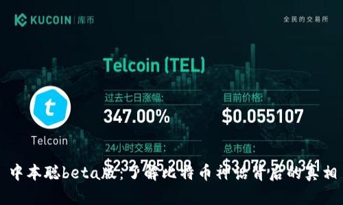 中本聪beta版:了解比特币神话背后的真相