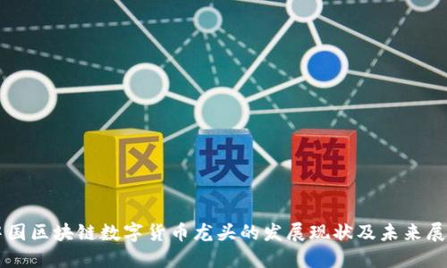 中国区块链数字货币龙头的发展现状及未来展望