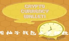 如何利用柚子钱包来管理数字资产？