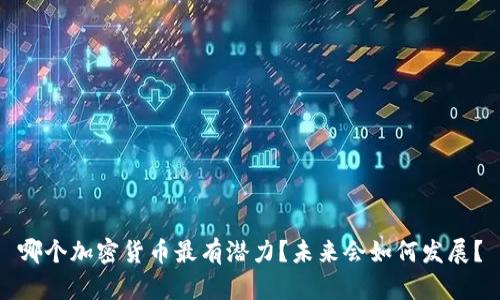 哪个加密货币最有潜力？未来会如何发展？