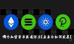 哪个加密货币最有潜力？未来会如何发展？