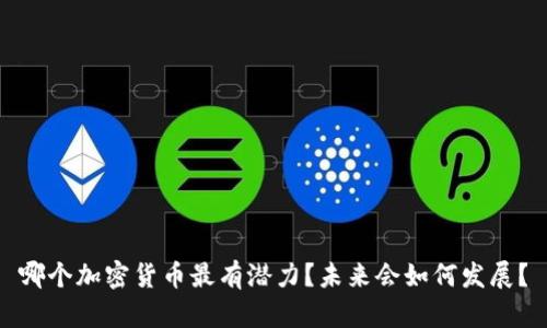 哪个加密货币最有潜力？未来会如何发展？