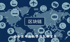 安全实用的数字钱包推荐及