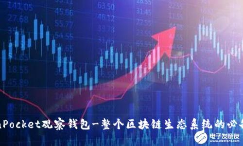 TokenPocket观察钱包-整个区块链生态系统的必备工具