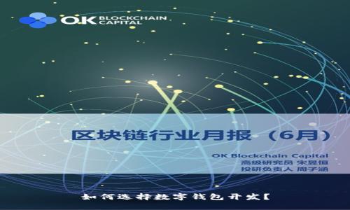 如何选择数字钱包开发?