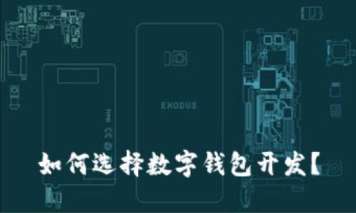 如何选择数字钱包开发?