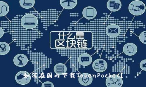 如何在国内下载TokenPocket?