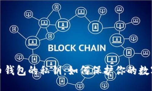 数字币钱包的私钥:如何保护你的数字财产
