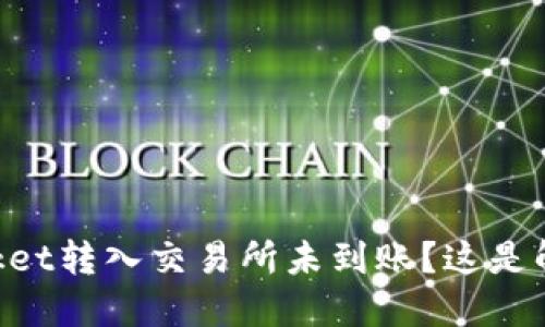 TokenPocket转入交易所未到账?这是解决的方法
