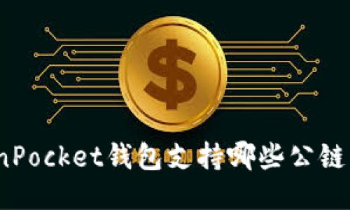 TokenPocket钱包支持哪些公链币种?
