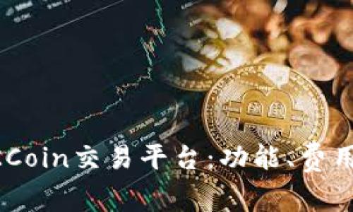了解OKCoin交易平台:功能、费用与优势