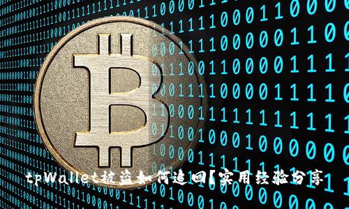 tpWallet被盗如何追回?实用经验分享
