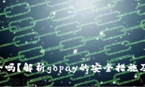 gopay安全吗?解析gopay的安全措施及风险防范