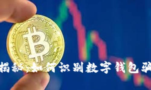 数字钱包骗局揭秘:如何识别数字钱包骗局及防范措施
