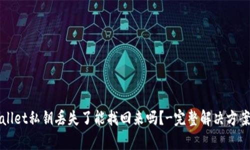 tpWallet私钥丢失了能找回来吗?-完整解决方案指南