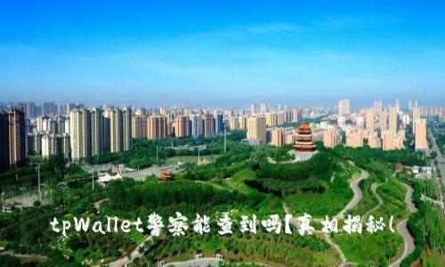 tpWallet警察能查到吗?真相揭秘!