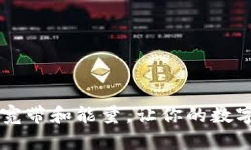 TPWallet里面的宽带和能量,让你的数字资产一步更畅快