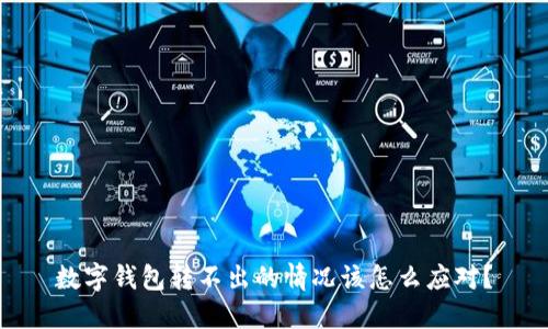 数字钱包转不出的情况该怎么应对?