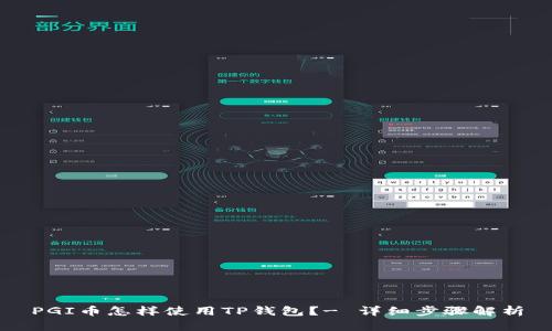 PGI币怎样使用TP钱包?- 详细步骤解析