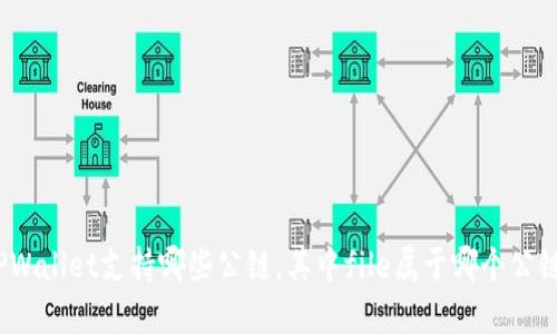 TPWallet支持哪些公链,其中file属于哪个公链?