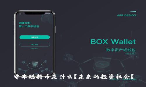 中本聪持币是什么?未来的投资机会?