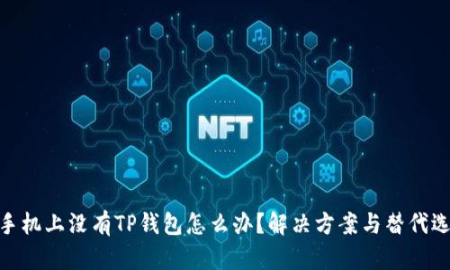 : 手机上没有TP钱包怎么办？解决方案与替代选择