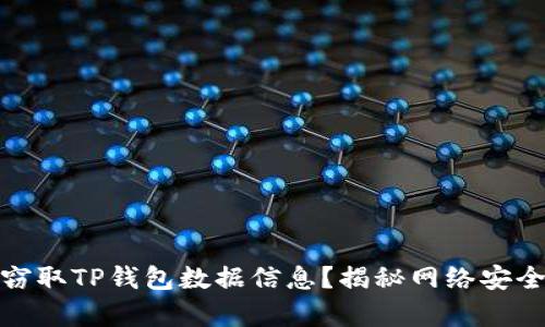 : 黑客如何窃取TP钱包数据信息？揭秘网络安全与防护技巧
