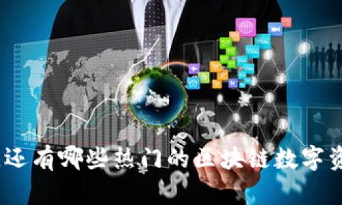  除了TP钱包，还有哪些热门的区块链数字资产管理工具？