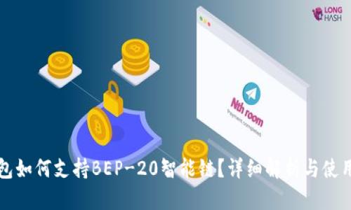 TP钱包如何支持BEP-20智能链？详细解析与使用指南