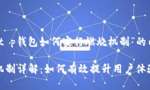 以下是针对“t p钱包如何实行燃烧机制”的内容

TP钱包燃烧机制详解：如何有效提升用户体验与资产安全