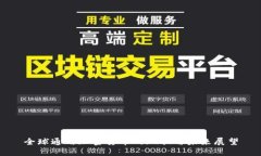 全球通用加密货币的现状与未来展望