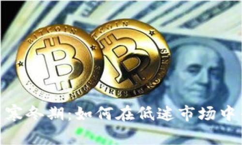 加密货币寒冬期：如何在低迷市场中寻找机遇
