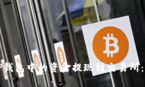 如何将TP钱包中的资金提现到交易所：详细指南