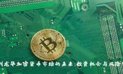 深圳龙华加密货币市场的未来：投资机会与风险