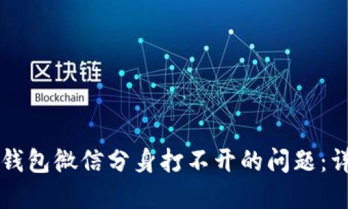 解决TP钱包微信分身打不开的问题：详细指南