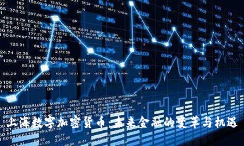 上海数字加密货币：未来金融的变革与机遇