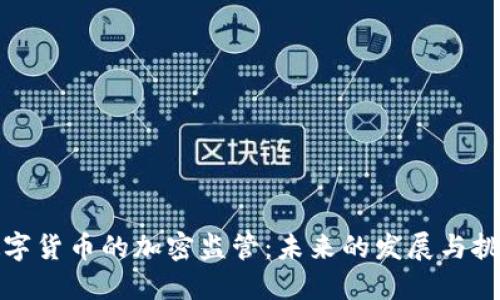 数字货币的加密监管：未来的发展与挑战