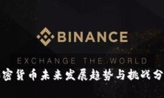 加密货币未来发展趋势与挑战分析