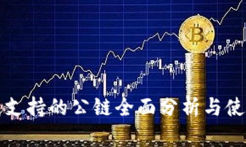 TP钱包支持的公链全面分析与使用指南