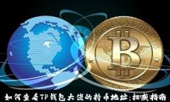 如何查看TP钱包大佬的持币地址：权威指南
