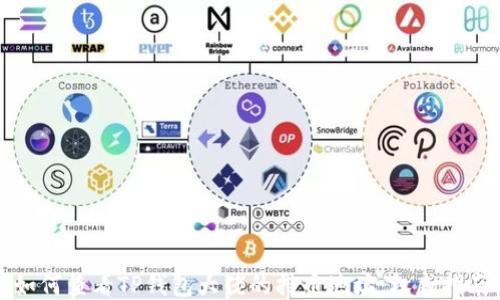
如何查看TP钱包大佬的持币地址：权威指南