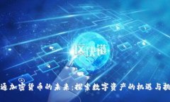 昭通加密货币的未来：探索数字资产的机遇与挑