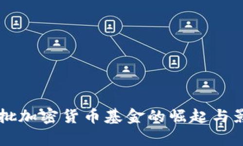 美国首批加密货币基金的崛起与影响分析