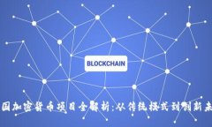 中国加密货币项目全解析：从传统模式到创新未