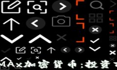 全面解析DXMAx加密货币：投资前必知的信息