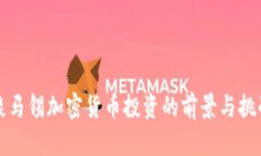 淡马锡加密货币投资的前景与挑战