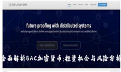 全面解析BAC加密货币：投资机会与风险分析