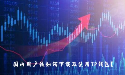 国内用户该如何下载及使用TP钱包？