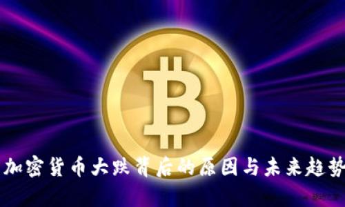 美国加密货币大跌背后的原因与未来趋势分析