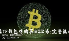 如何在TP钱包中购买BZZ币：完整流程详解